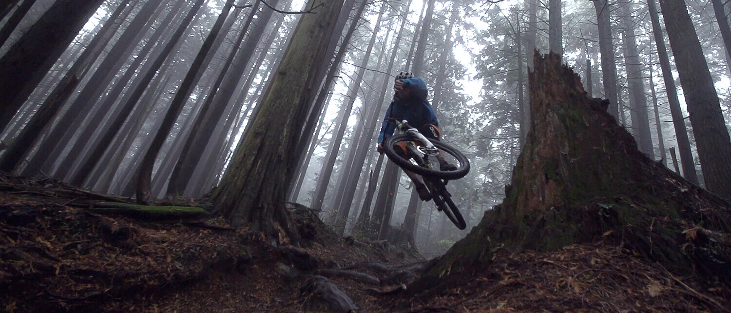 Mountainbiker springt &uuml;ber einen Baumstumpf in einem nebligen Wald, umgeben von hohen B&auml;umen.